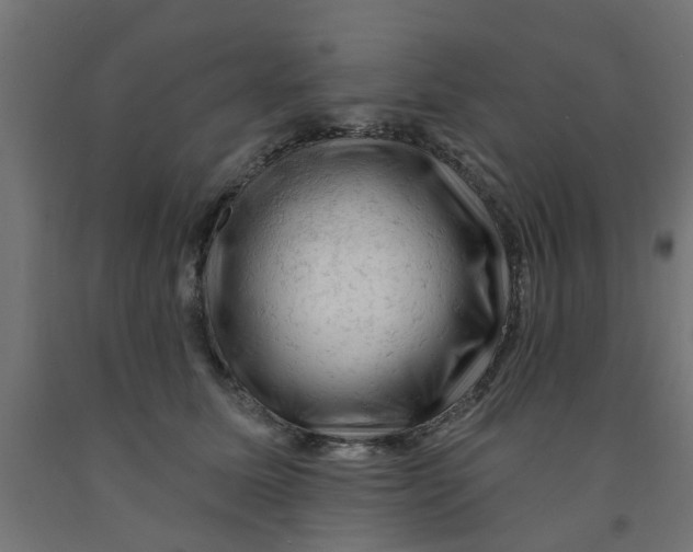 X0000090890611200708242003