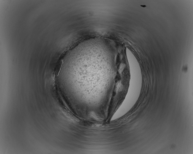 X0000090890613200708242003