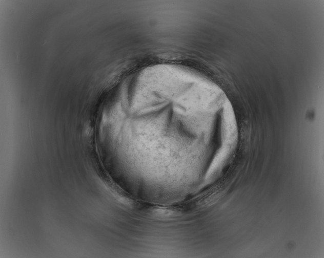 X0000090890614200708242003