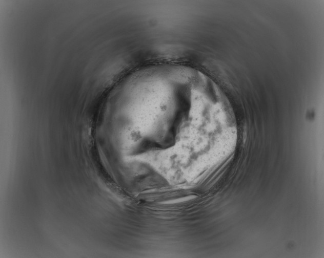 X0000090890615200708242003