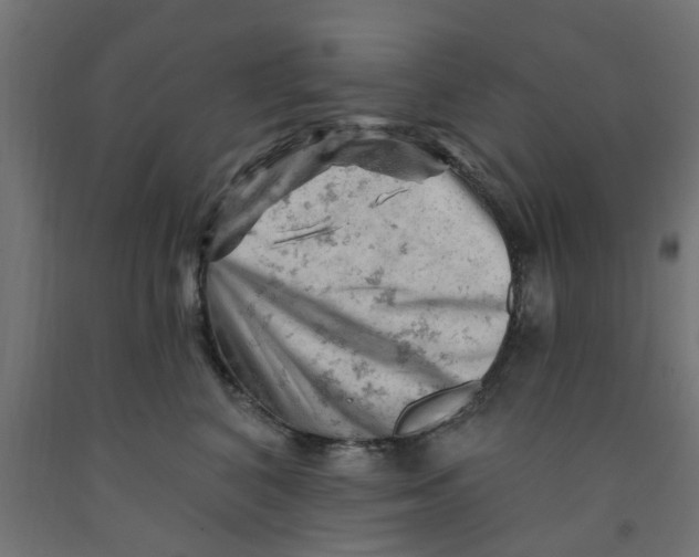 X0000090890616200708242003