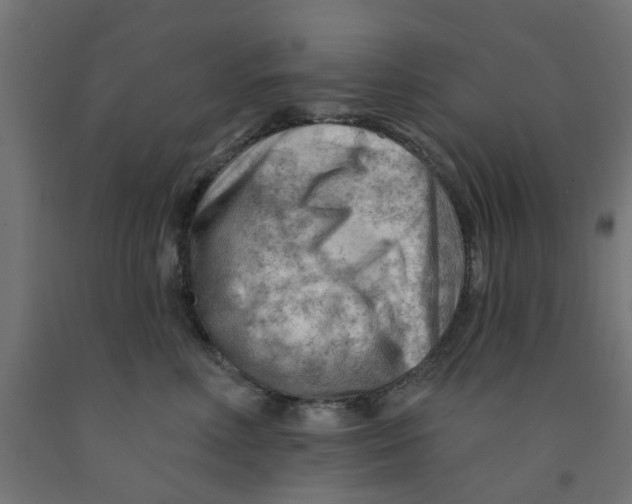 X0000090890618200708242003