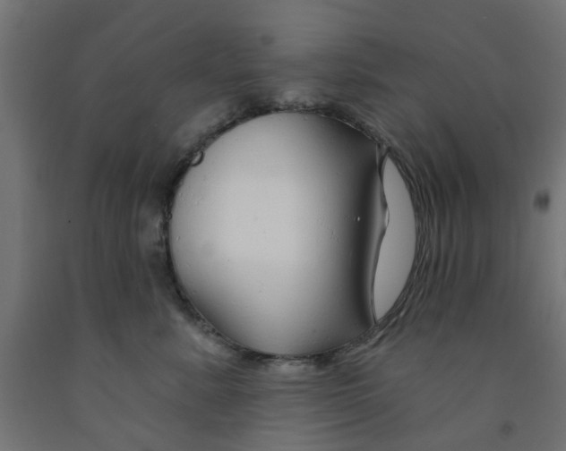 X0000090890619200708242003