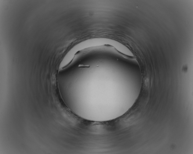 X0000090890620200708242003