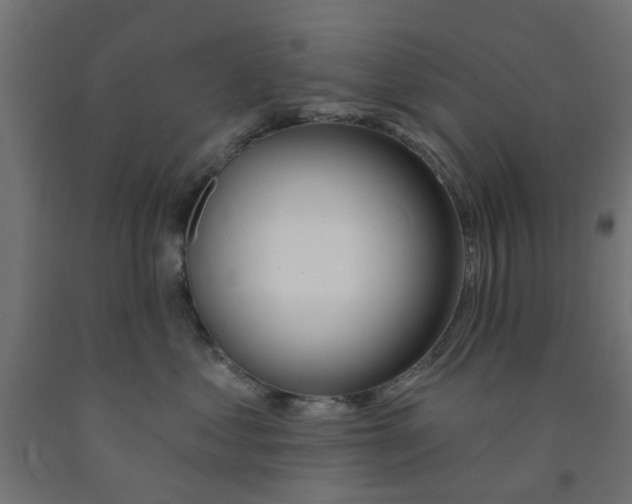 X0000090890621200708242003