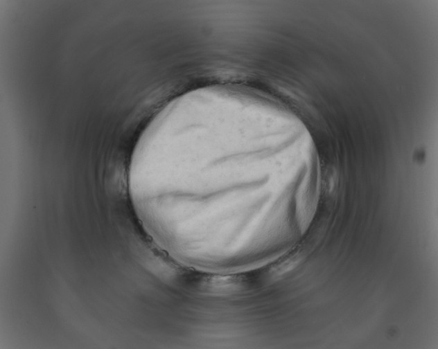 X0000090890622200708242003