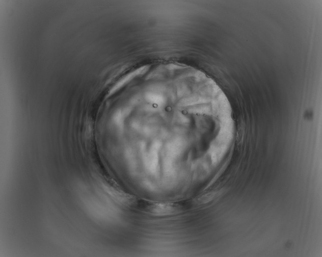 X0000090890623200708242003