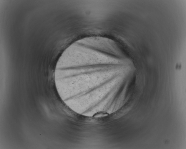 X0000090890624200708242003