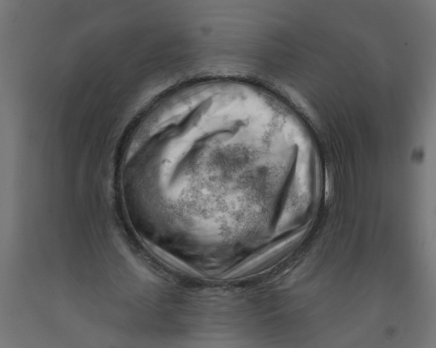 X0000090890627200708242002