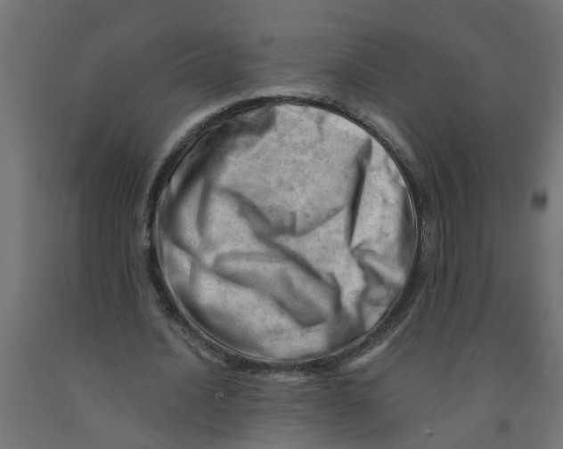 X0000090890628200708242002