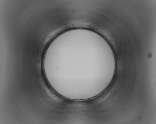 X0000090890629200708242002