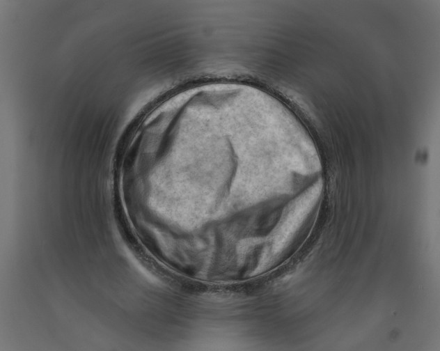 X0000090890630200708242002