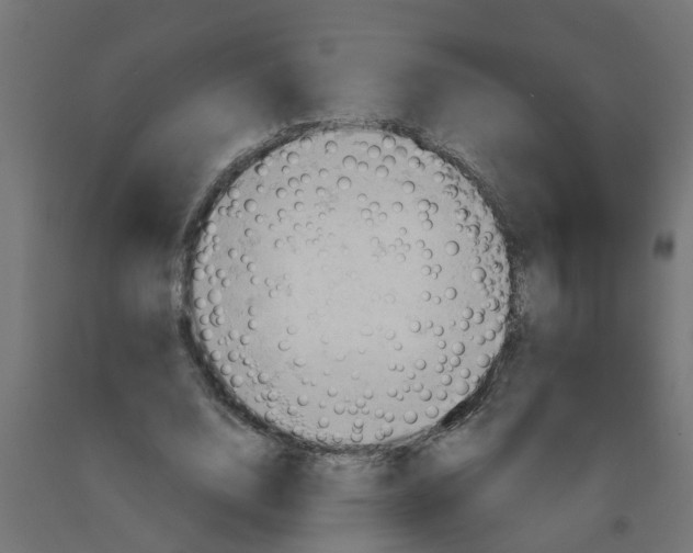 X0000090890632200708242002