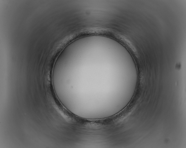 X0000090890633200708242002