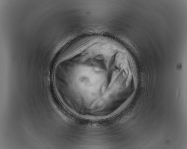 X0000090890634200708242002