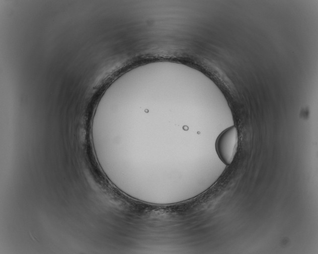 X0000090890635200708242002