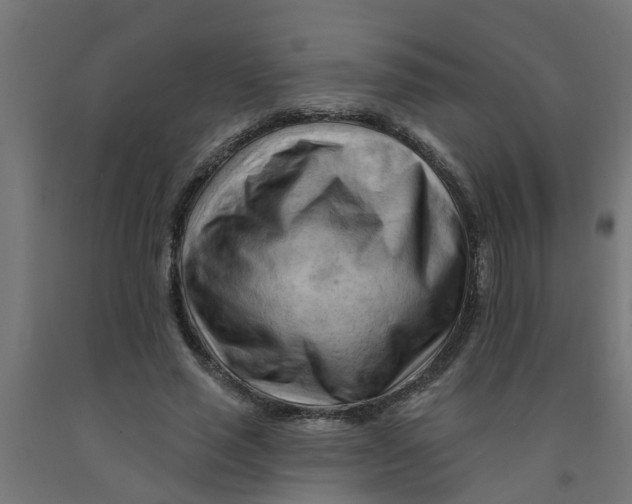 X0000090890637200708242002