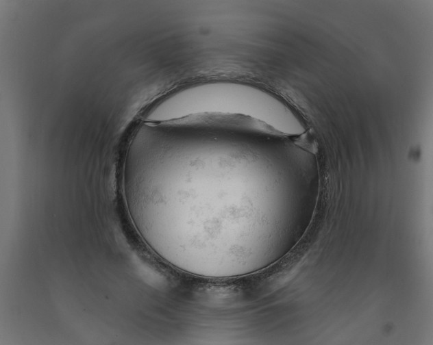 X0000090890638200708242002