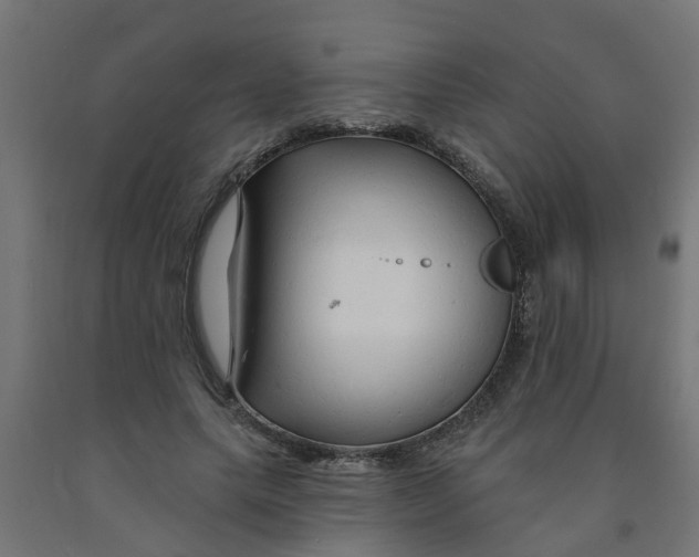 X0000090890639200708242002