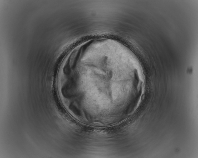 X0000090890640200708242002