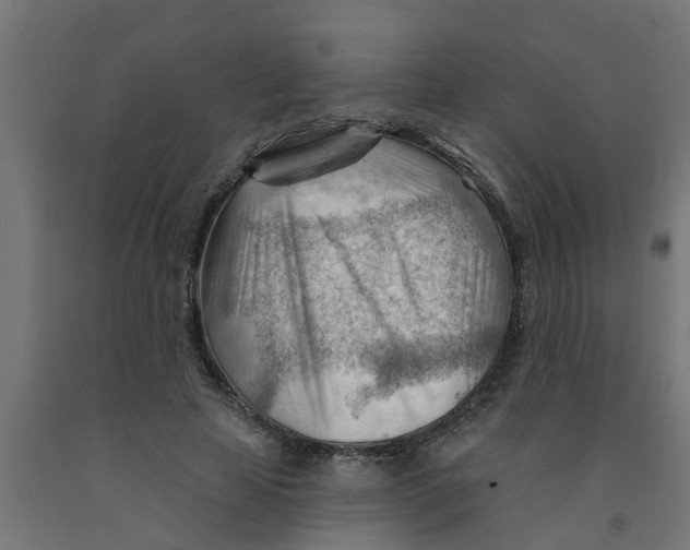 X0000090890641200708242002