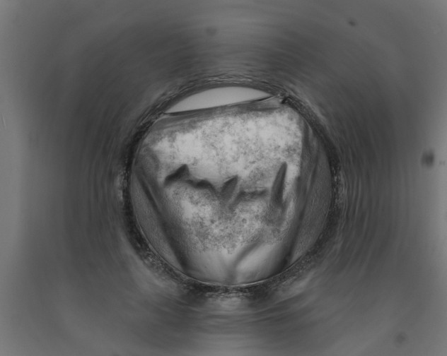 X0000090890643200708242002