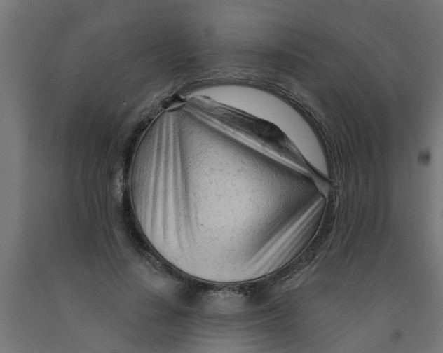 X0000090890644200708242002