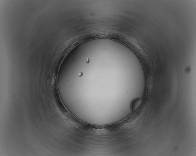 X0000090890645200708242002