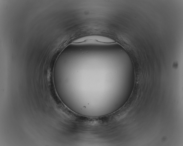 X0000090890646200708242002