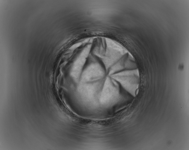 X0000090890648200708242002