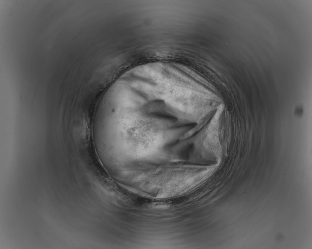 X0000090890651200708242002