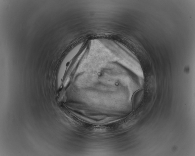 X0000090890653200708242002