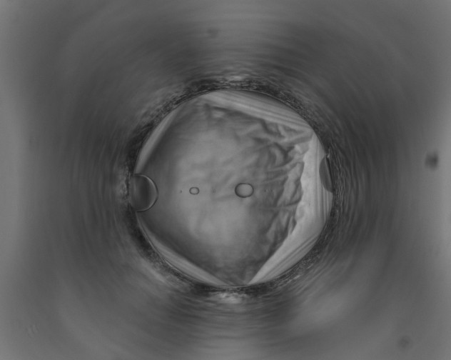 X0000090890654200708242002