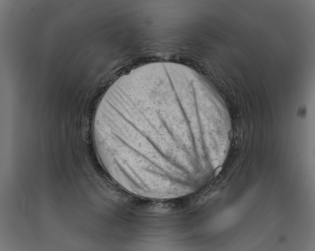 X0000090890656200708242002