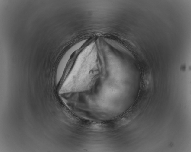 X0000090890657200708242002