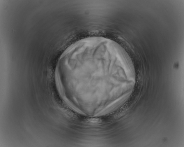 X0000090890659200708242003