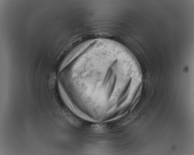 X0000090890660200708242003