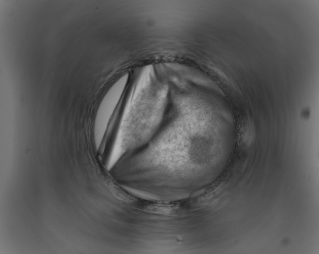 X0000090890661200708242003