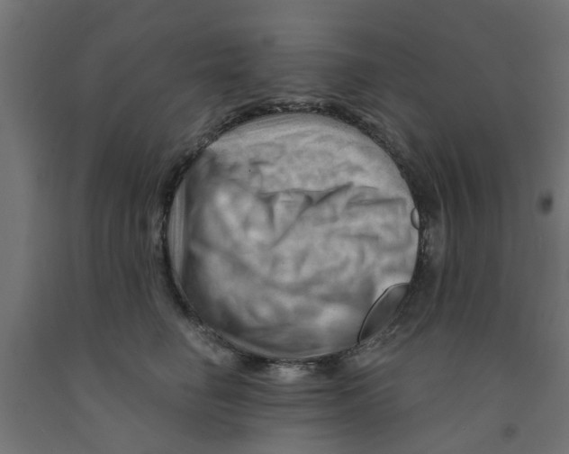 X0000090890662200708242003