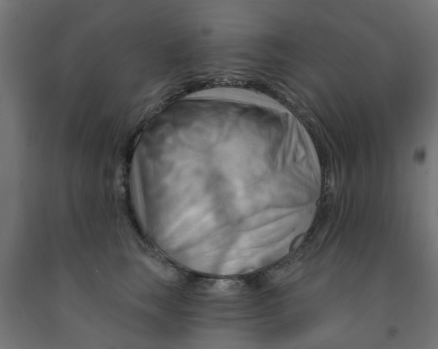 X0000090890663200708242003