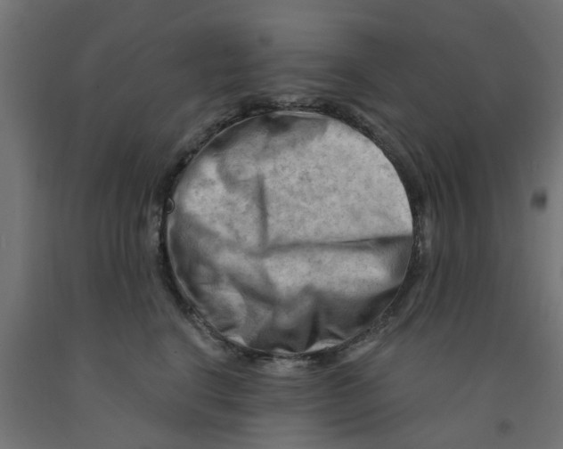 X0000090890664200708242003