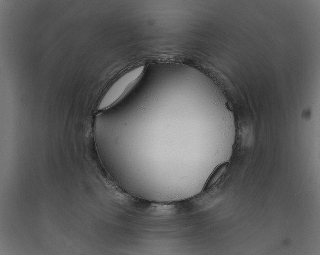 X0000090890665200708242003