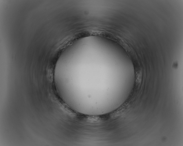 X0000090890666200708242003