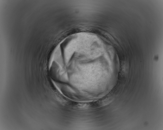 X0000090890667200708242003