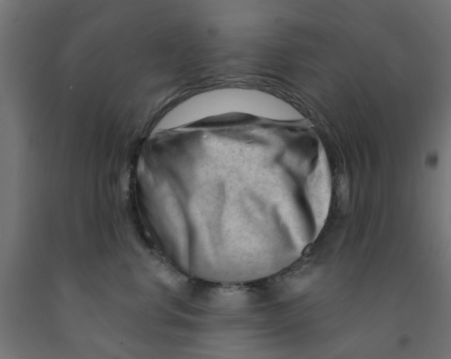 X0000090890668200708242003