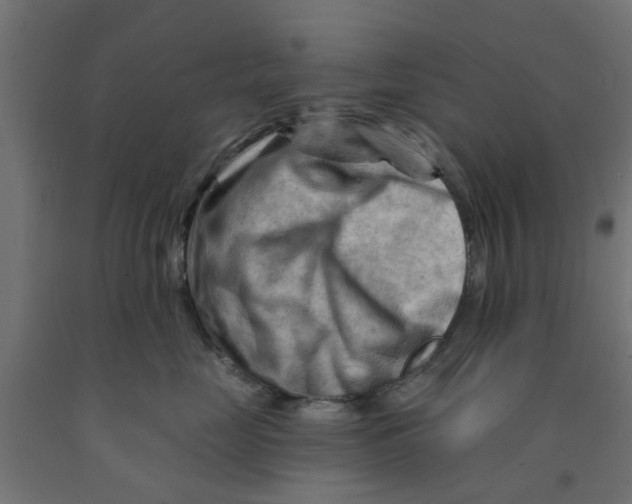 X0000090890669200708242003