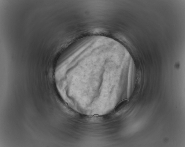 X0000090890670200708242003