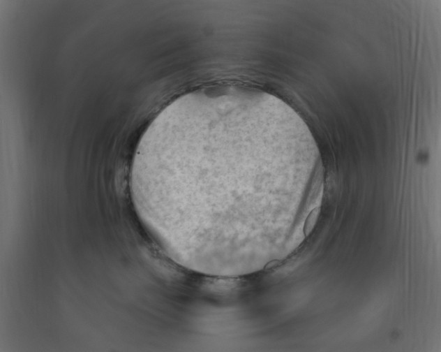 X0000090890671200708242003