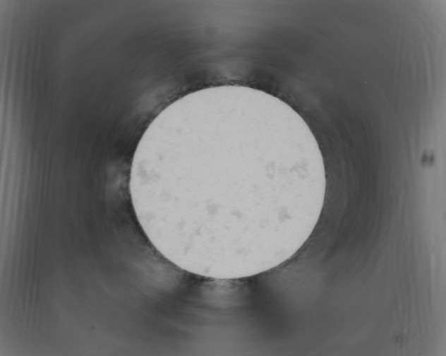 X0000090890672200708242003