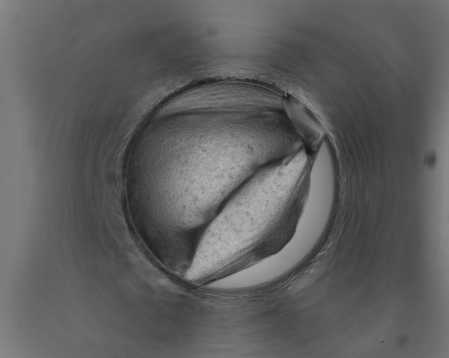 X0000090890673200708242002